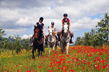 Spain-Catalonia-Coastal Gourmet Passion Ride